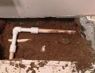 河间测漏水哪家好